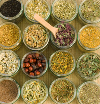 digestive system, Traditional Chinese Medicine, TCM, Ayurveda, Western Herbalism, energetic medicine, protein, carbs, fat, vitamins, minerals, anti-oxidants, spices, India, Indonesian archipelago, Ayurvedic, herbal preparations, Ayurvedic Medicine, Black Pepper, Piper nigrum, Piperaceae, Sanskrit, Marica, Ayurveda, digestive fire, Ama, Kapha, Vata, Pitta, freshly ground pepper, Ayurvedic, Trikatu, Ginger, Pippali, long pepper, Cardamom, Elettaria cardamomum, Zingerberaceae, tridoshic, tonic herbs, Ashwagandha, Shatavari, Sattva, Prana, Cinnamon, Cinnamomum cassia, Cinnamomum zeylanicum, Lauraceae, Cloves, Szyygium aromaticum, Myrtaceae, pungent, bitter, penetrating, low digestive fire, congestion, stagnation, phlegm, Coriander, Coriandrum sativum, Apiaceae, excess Pitta, digestive inflammation, Cumin, Cuminum cyminum, Apiaceae, Jiraka, Apana vayu, Fennel, Foeniculum vulgare, Fenugreek, Trigonella foenum-graecum, Fabaceae, digestive bitter, hypoglycemic, Ginger, Zingiber officinale, Zingerberaceae, circulatory stimulant, Traditional Chinese medicine, TCM, Sodil chloridum “Sedona herbal medicine” “Phoenix herbal medicine” “Colorado herbal medicine” “Las Vegas herbal medicine” “Prescott herbal medicine” “Flagstaff herbal medicine” “Oak Creek Canyon” “New Mexico herbal medicine” “Flagstaff essential oil” “Flagstaff essential oils” “Flagstaff aromatherapy” “Prescott essential oil” “Prescott essential oils” “Prescott aromatherapy” “Sedona essential oil” “Sedona essential oils” “Sedona aromatherapy” “Phoenix essential oil” “Phoenix essential oils” “Phoenix aromatherapy” “Las Vegas essential oil” “Las Vegas essential oils” “Las Vegas aromatherapy”
