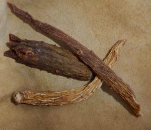 Chinese ginseng, Korean ginseng, Panax