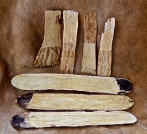 Astragalus immune TCM