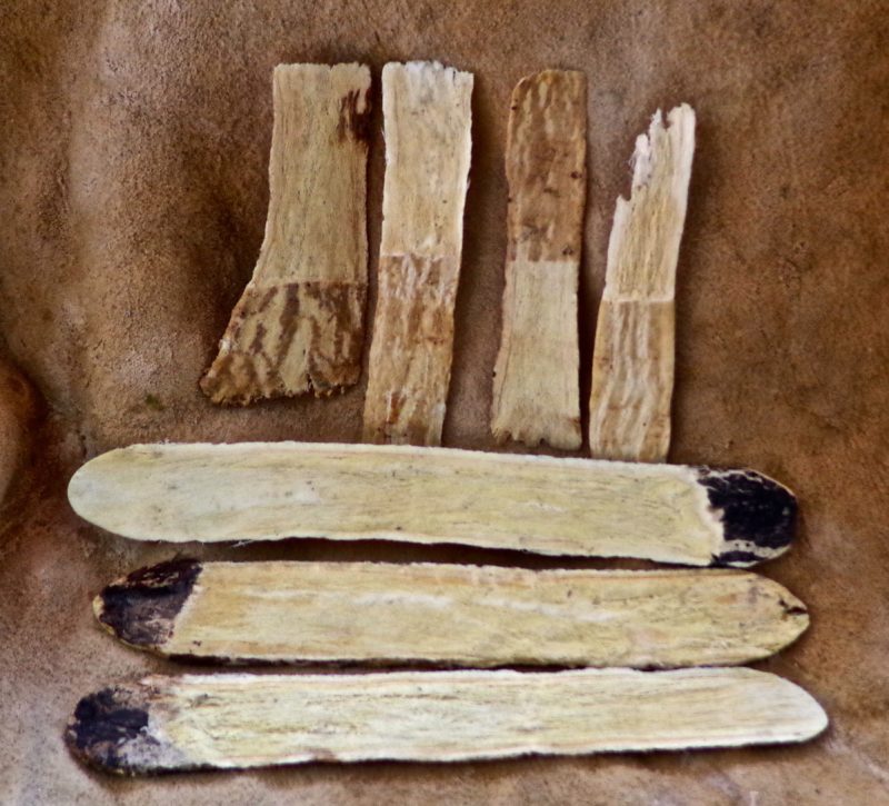 Astragalus immune TCM