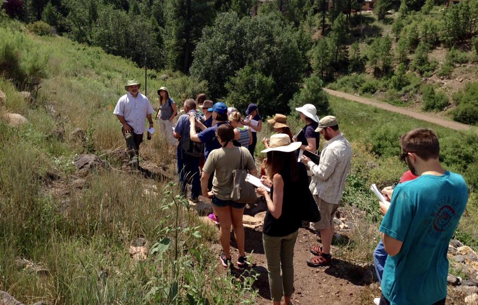 Plant Walk in Arizona for family herbalist course